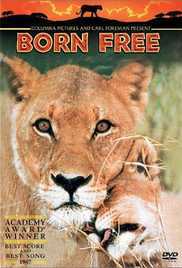 Born Free 1966 Hd 720p Hindi Eng Movie